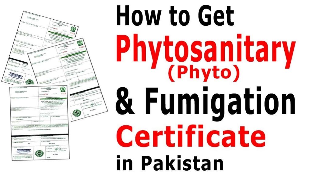How to Get Phytosanitary Certificate in Pakistan – Procedure to Get Fumigation Certificate In Pakistan
