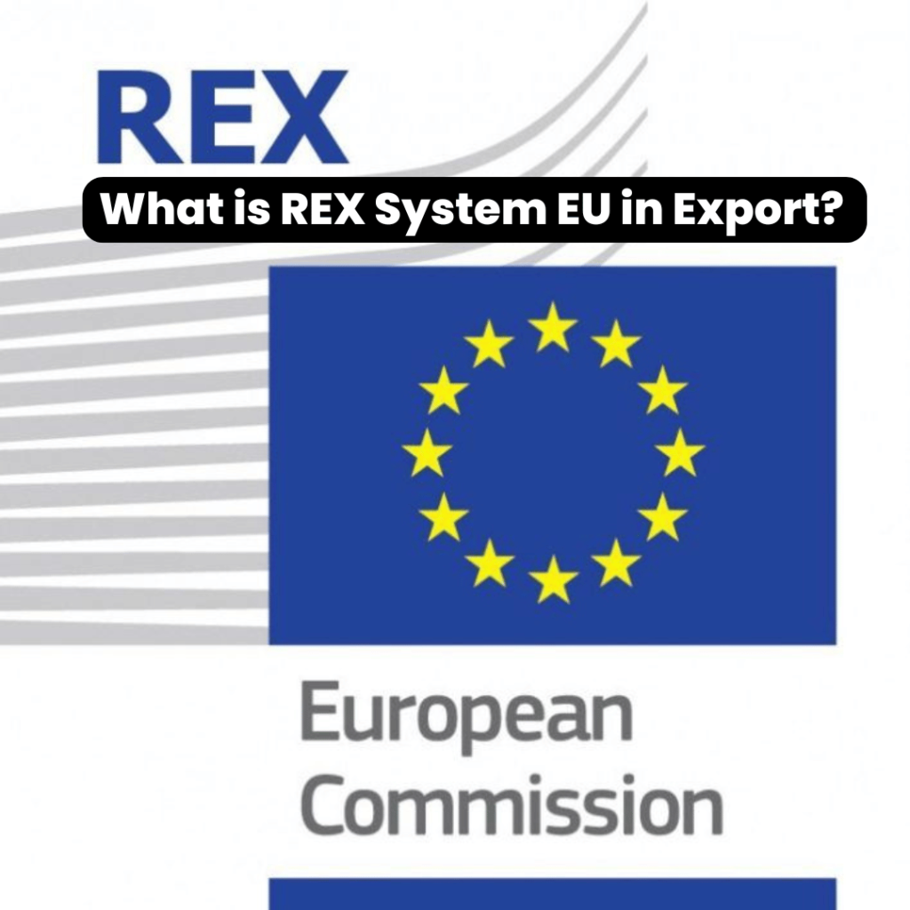 What is REX System EU in Export? Why Registration is Required for GSP