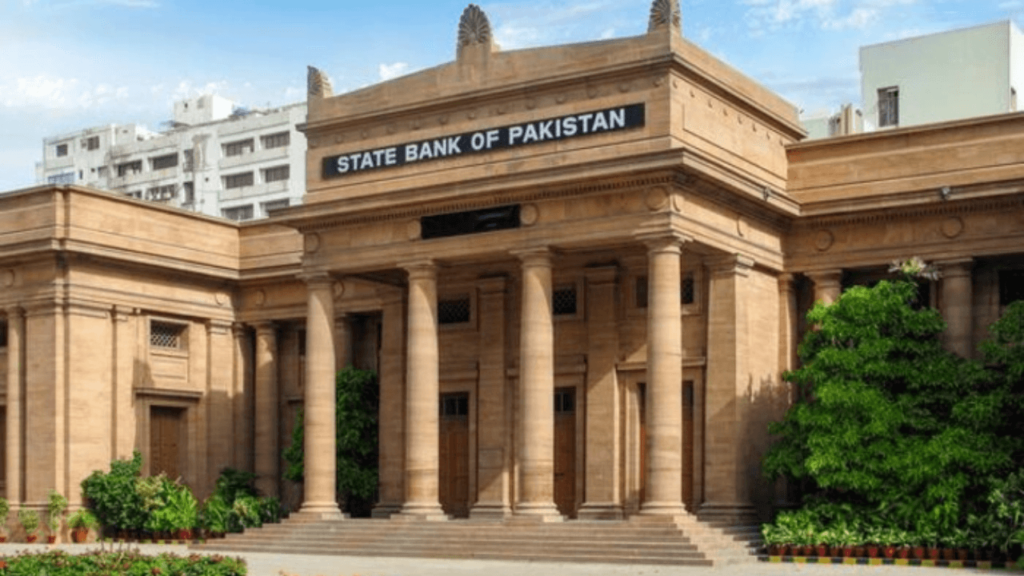 SBP Foreign Exchange Reserves Drop by $228 Million in December 2024 SBP Reserves