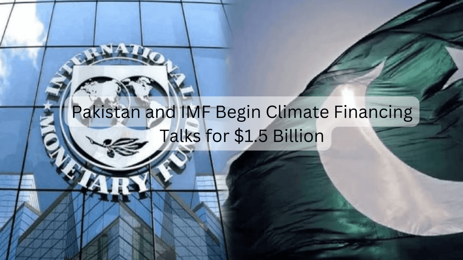 IMF