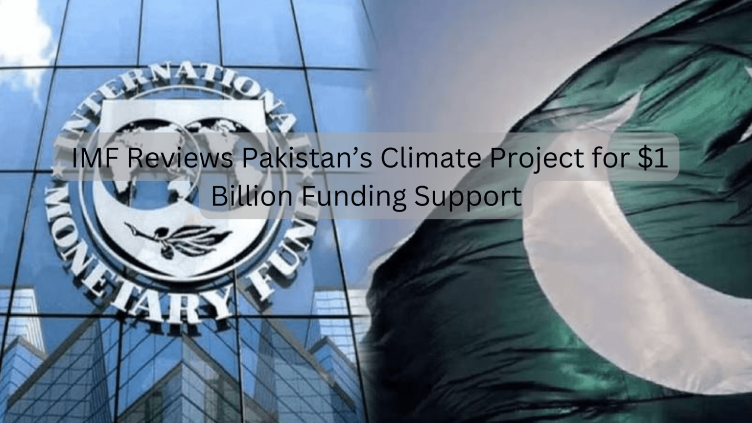 IMF