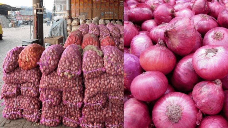 How to Export Onions from Pakistan: A Complete Guide Onion