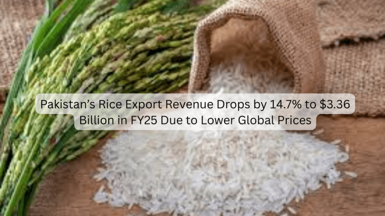Rice Export