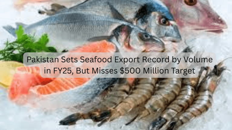 Seafood Export