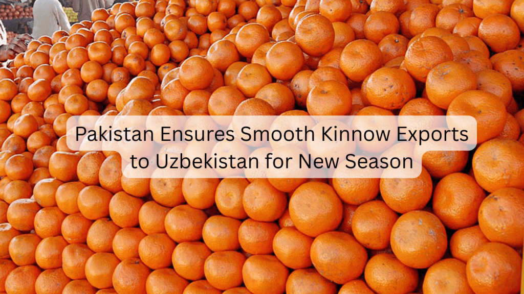 Kinnow Exports