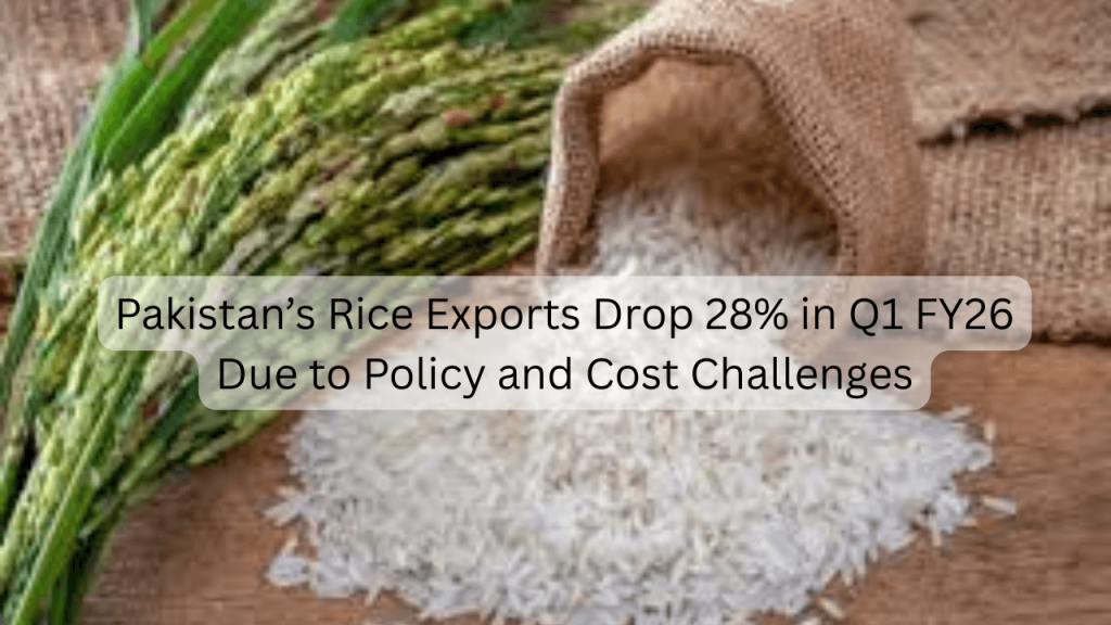 Pakistan’s Rice Exports Drop 28% in Q1 FY26 Due to Policy and Cost Challenges Rice Exports