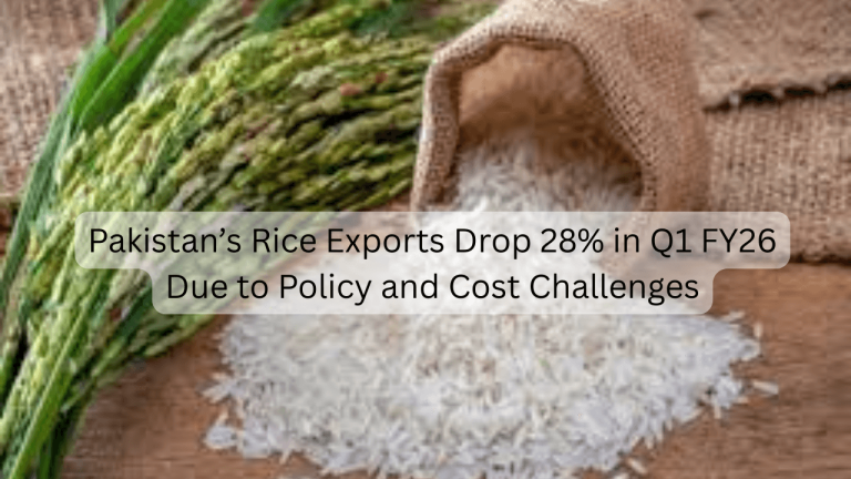 Rice Exports