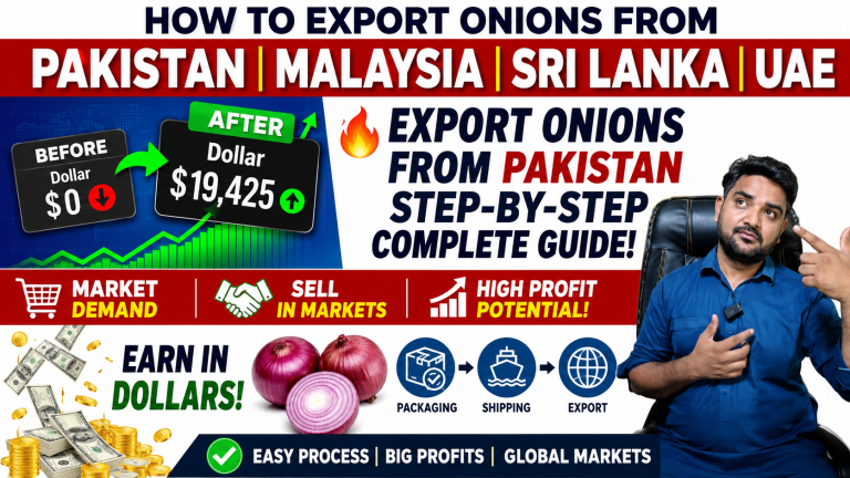How to Export Onions from Pakistan A Step-by-Step Guide for Beginners (Malaysia, Sri Lanka, UAE)