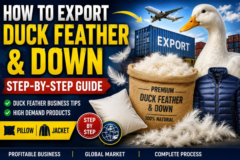 How to Export Duck Feather & Down from Pakistan: A Complete Business Guide